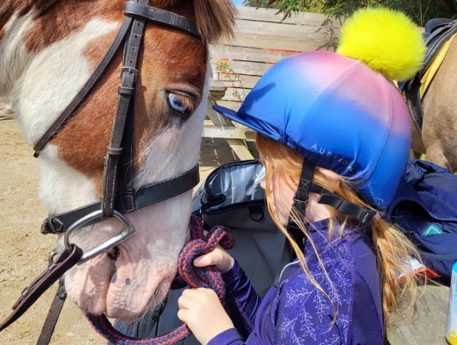  Conexiones con caballos 
