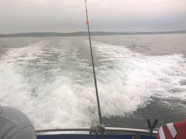  Excursiones de pesca en el mar 