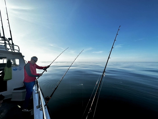  Explore las hermosas aguas del sur- costa oesle 