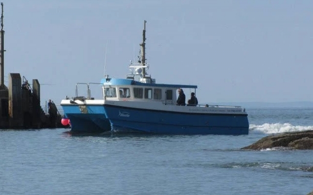 El Bluefin 