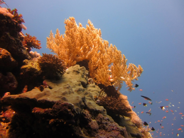 Vistas impresionantes