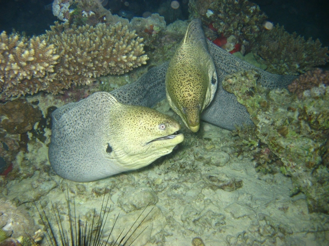  Disfruta de tus vistas 