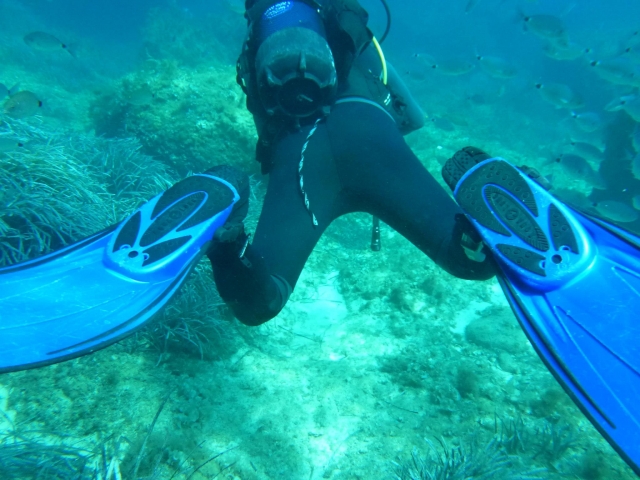 Disfruta de su actualización de buceo