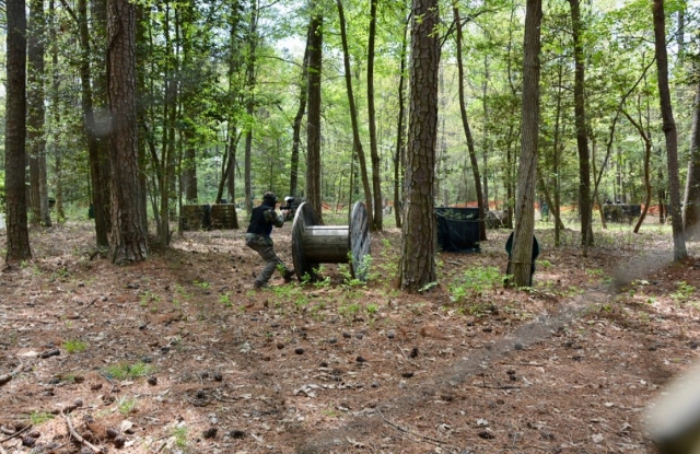  Nos adentramos en el bosque 