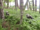 Laser Tag Noroeste de Inglaterra