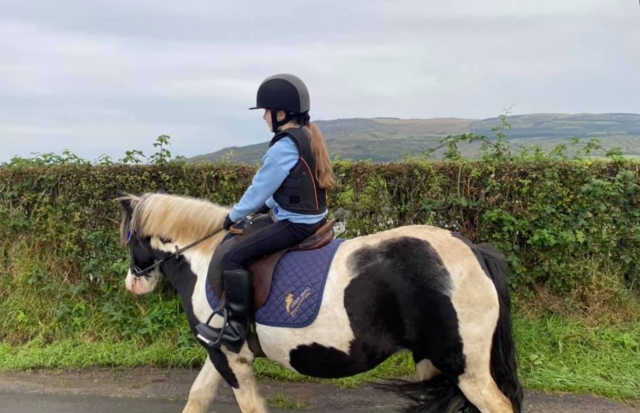  Creando nuevos amigos 