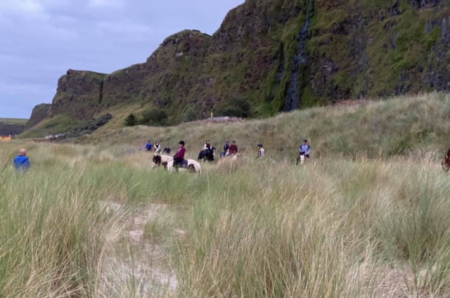  Trekking por el bosque