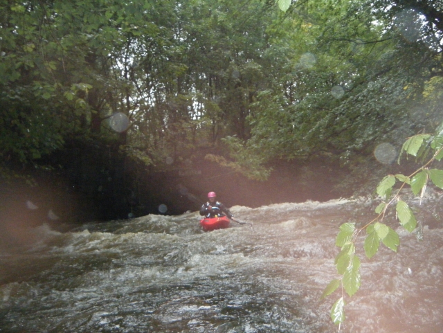  Kayak 