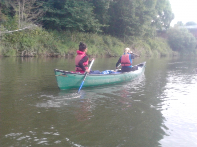  Remar
