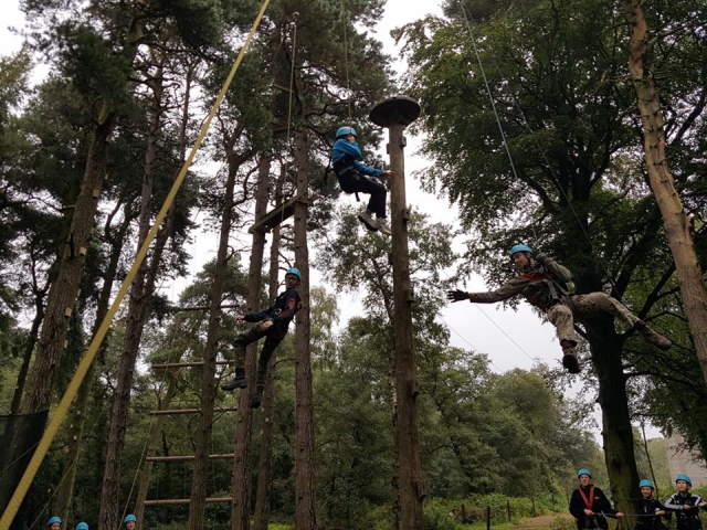 Maravilla del bosque