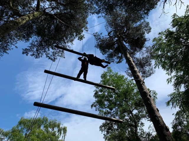 Maravilla del bosque