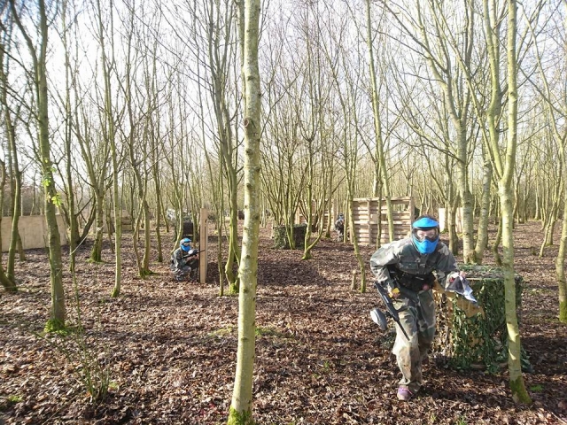  Zona de juego Woodland 