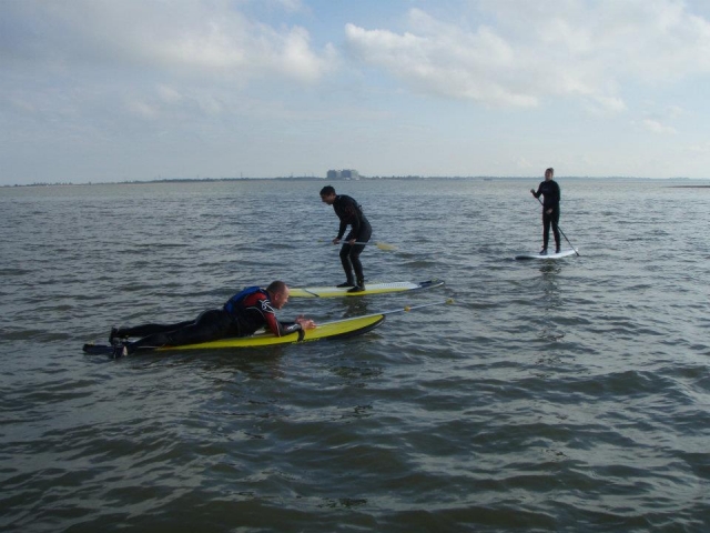  Progresión de SUP