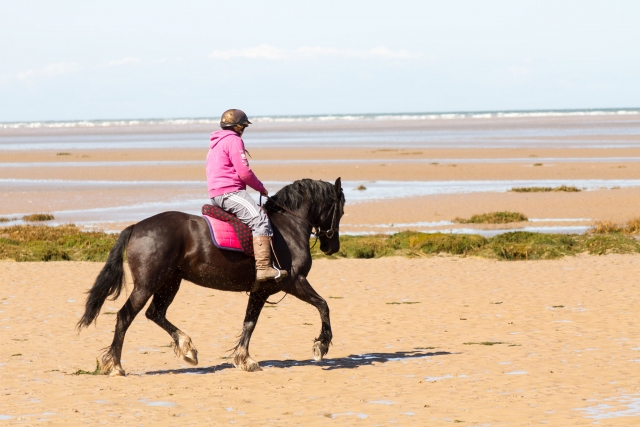  Aprende a subir a caballo
