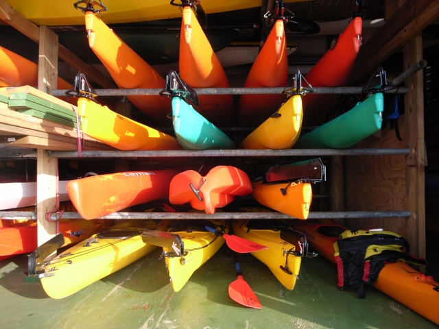  ¡Kayaks!