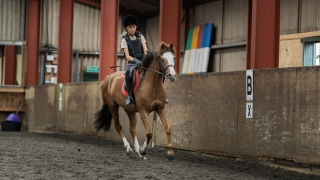 Lecciones de equitación para principiantes para niños en Aldridge