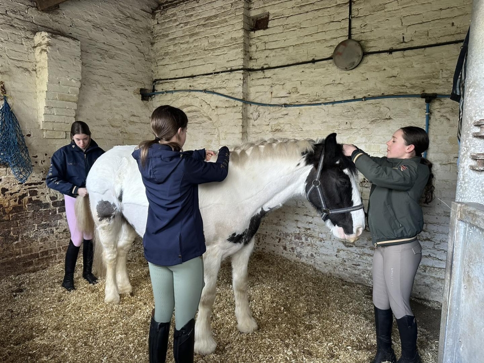  Aprende a subir a caballo. 