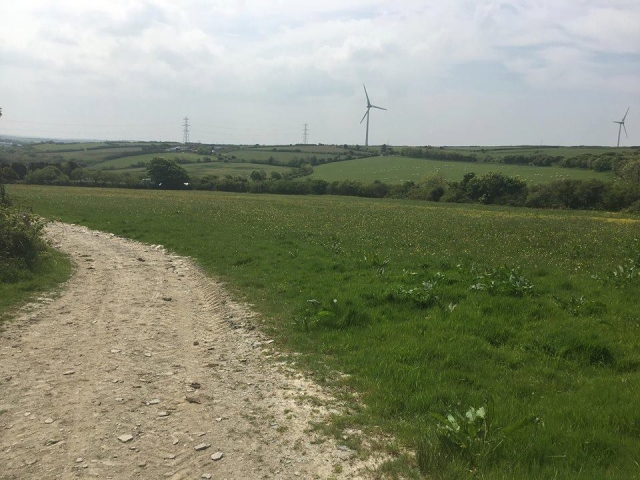  Ver caballos en los establos 