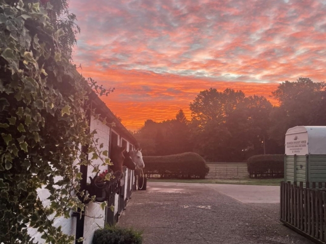  Caballos al amanecer 