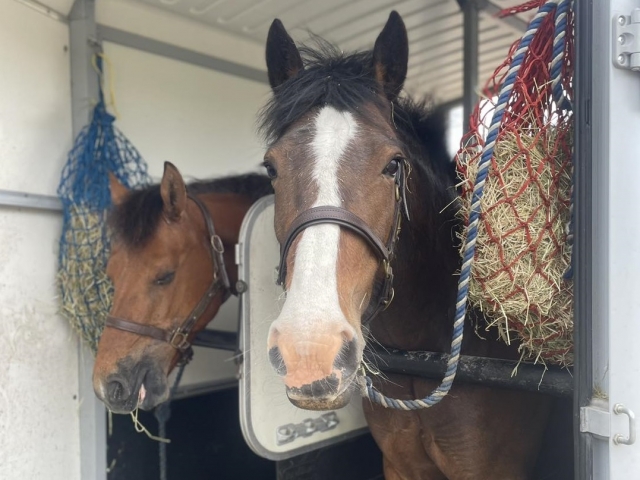  Establos en Aldridge 