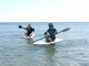 Paddle Surf Devon