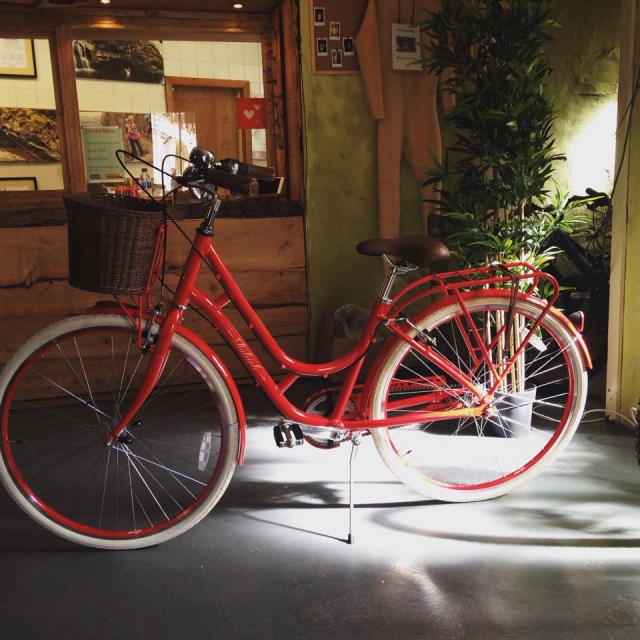 Preciosa bicicleta 