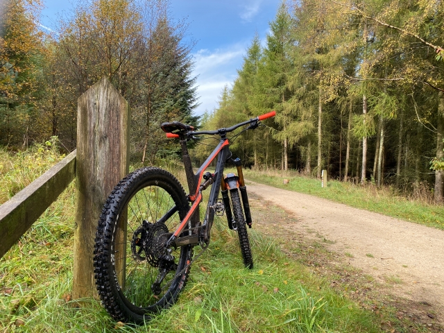  Listo para seguir el sendero