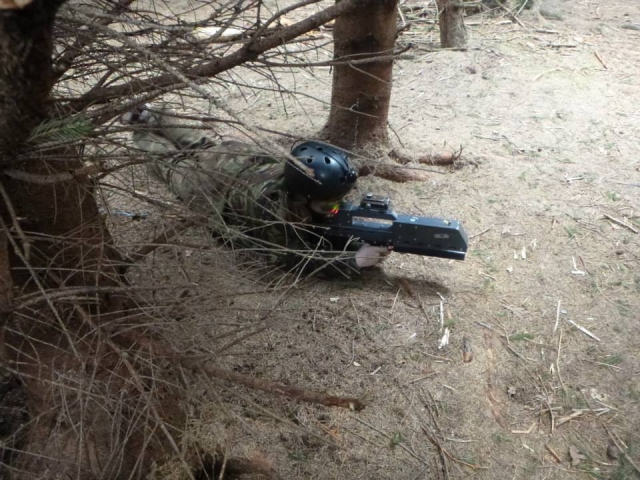  Escondidos en medio del bosque 