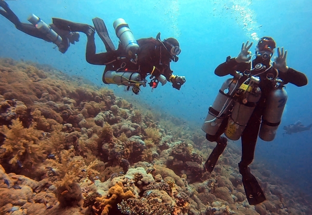 Curso PADI Open Water 
