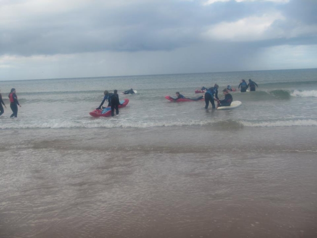  Bichos en el mar