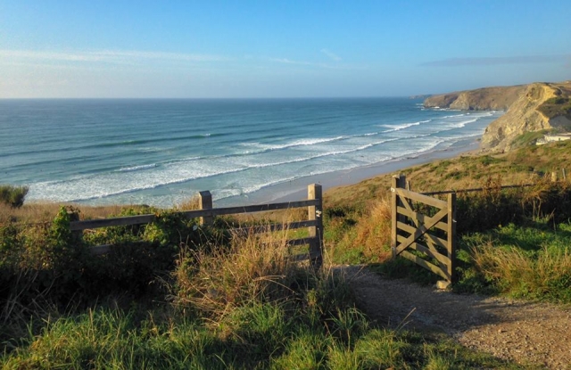 Venga a surfear las olas 