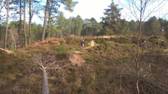  Perdisle los miedos en el bosque 
