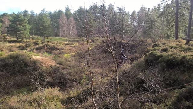  Bosques 