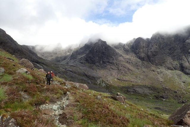  Terreno verde hermoso