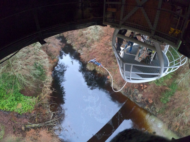  Bungee en otoño 