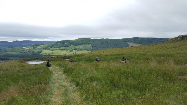 Navegando por campos abiertos