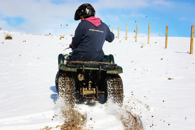  Carrera de nieve 