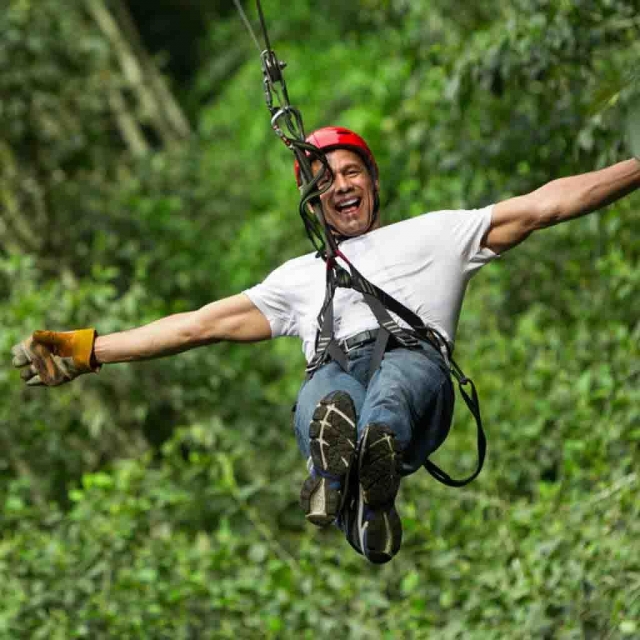 Deslizándose por el bosque 