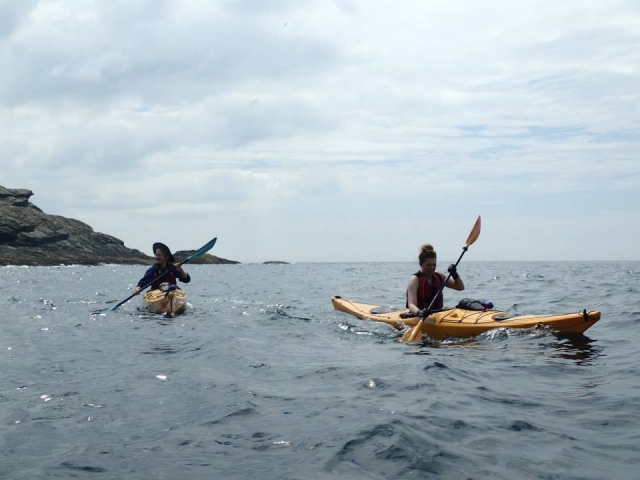  Kayak 