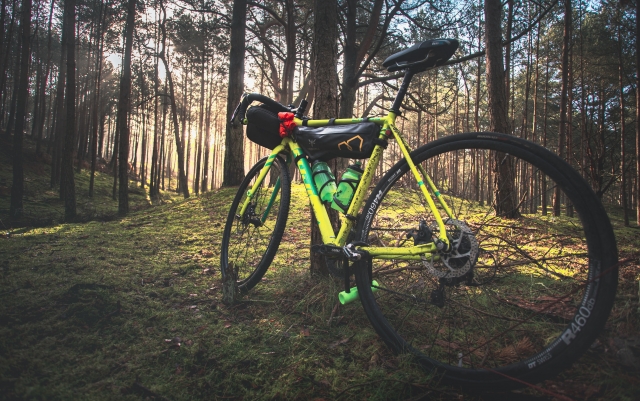  Ciclismo en el bosque