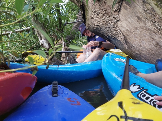  Descanso en el agua 