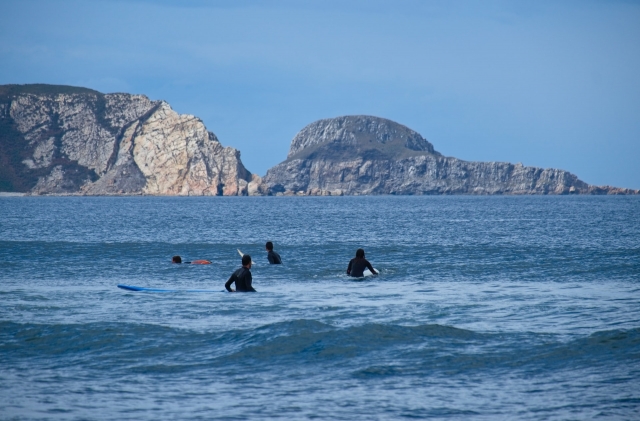  Surfear en familia 