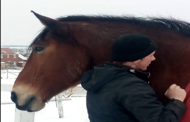  Horse bond