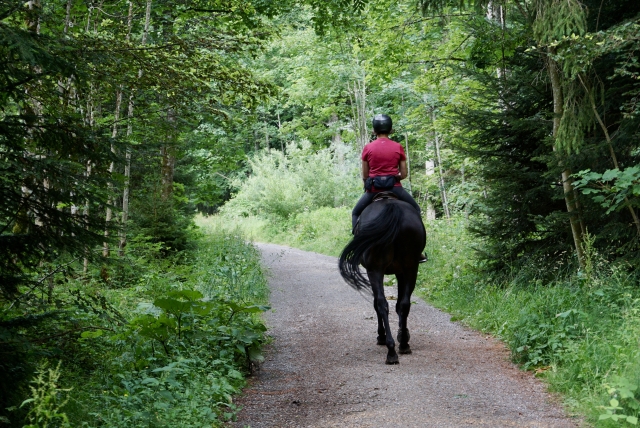  Subir a caballo 
