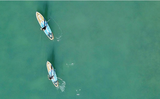  Paddleboarding en el sur de Devon 