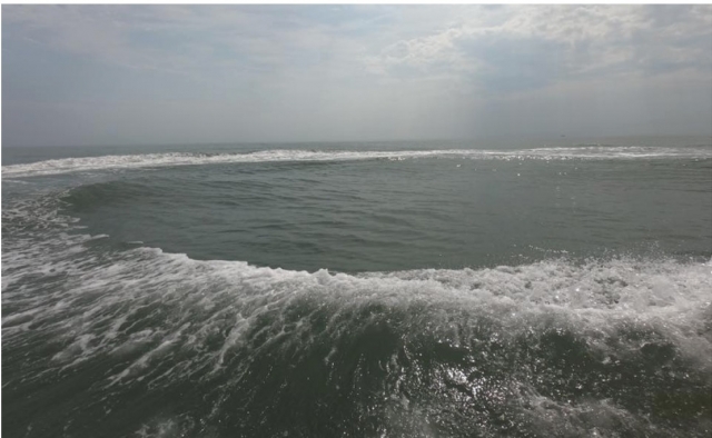  El hermoso mar 
