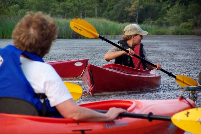  tour en kayak 