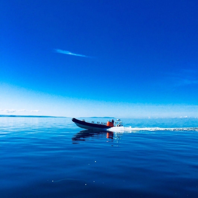  Los pbaños en barco son divertidos 
