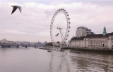Crucero del Puenle de la Torre del Niño a Westminster 30 min