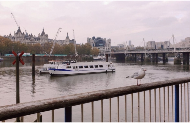  Pbaños en barco por Londres 
